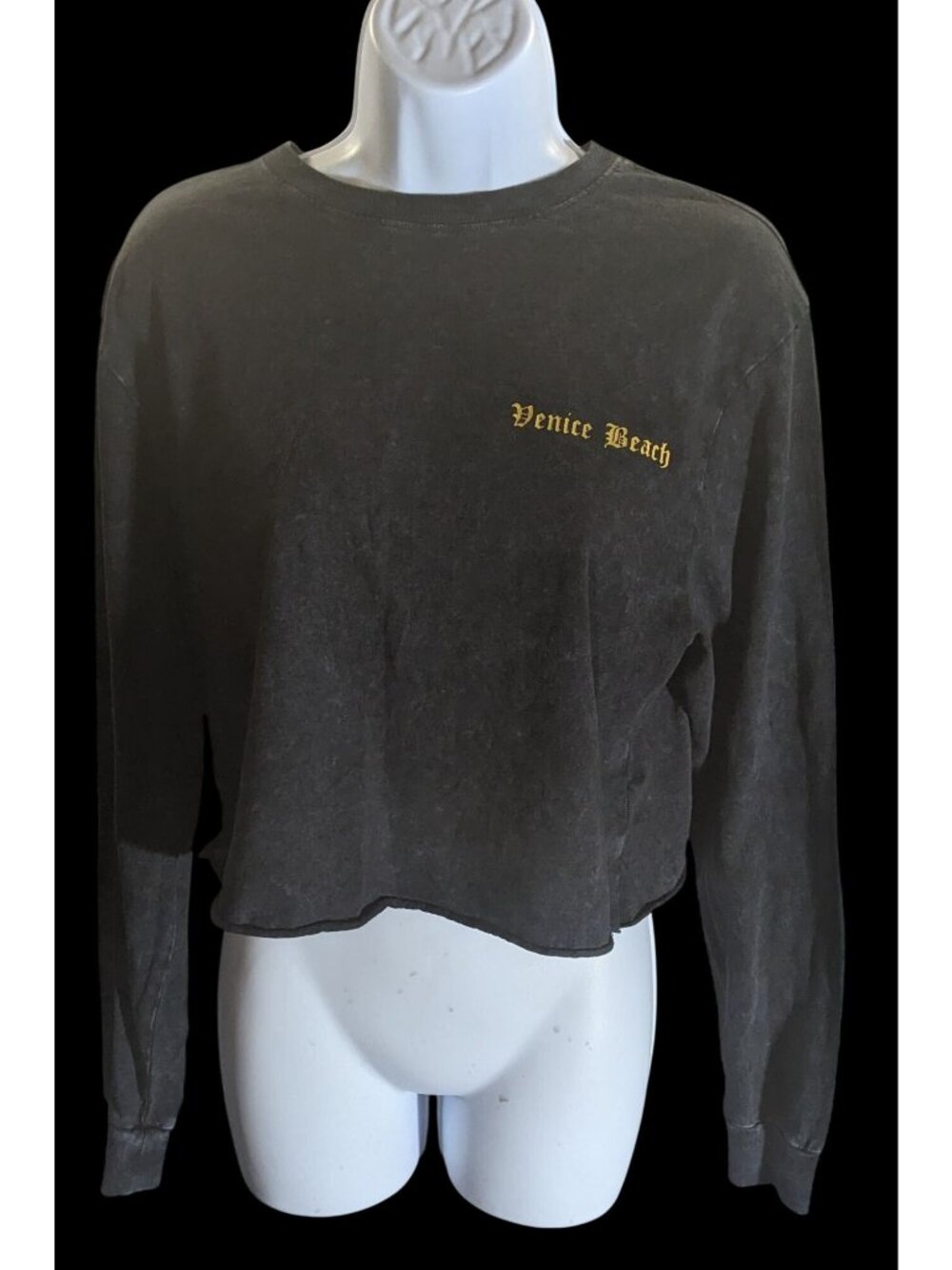 Wild Fable Venice Beach Crop Top Black Long Sleeve Grunge